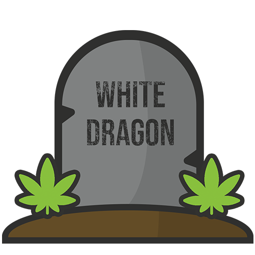 WHITE DRAGON