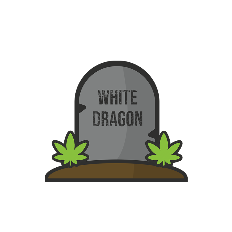 WHITE DRAGON