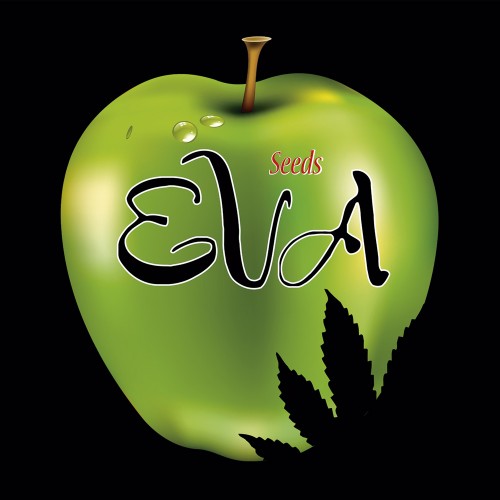 EVA SEEDS OFFICIAL LOGO STICKER