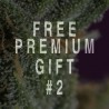 PREMIUM GIFT PACK FROM 400€