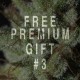 PREMIUM GIFT PACK FROM 600€