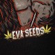 GORILLA CANDY T-SHIRT EVA SEEDS