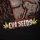 CAMISETA GORILLA CANDY EVA SEEDS
