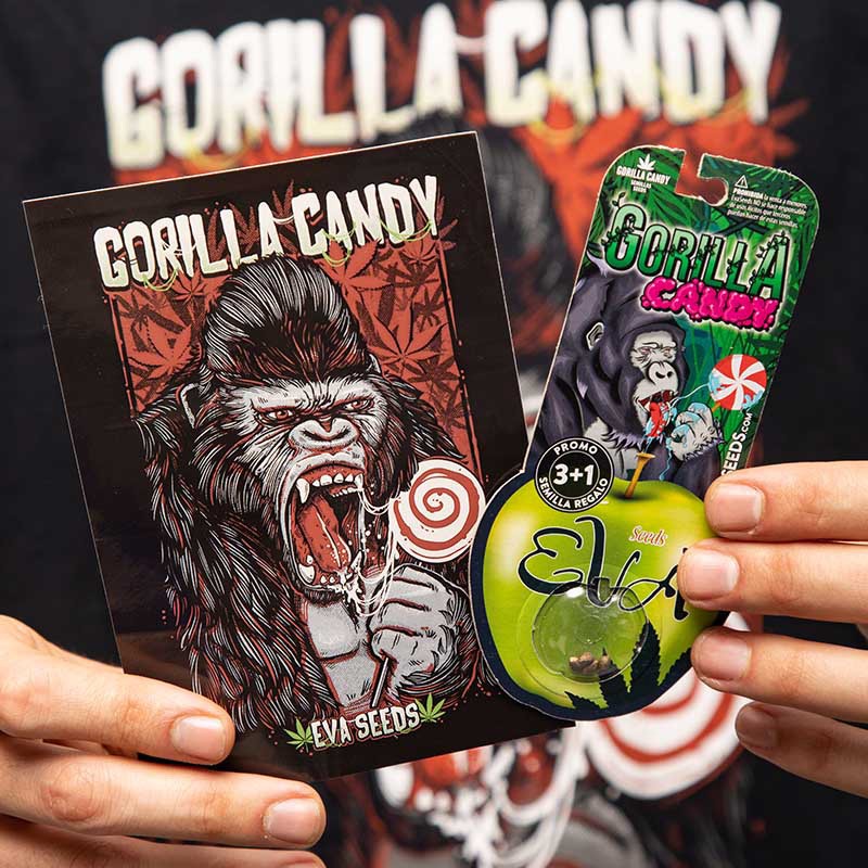 PACK GORILLA CANDY LOVERS