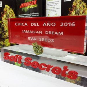 Jamaican Dream, premio chica del año Soft Secrets 2016