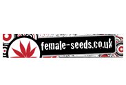 Female-Seeds-UK-grow-shop
