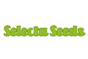 Selecta-Seeds-Grow-Shop