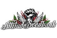 Attitude-Seedbank