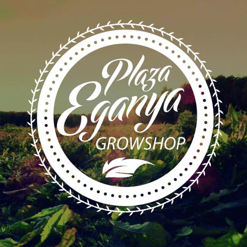 plazaeganja_grow_shop