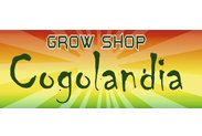 grow-shop-cogolandia-xativa
