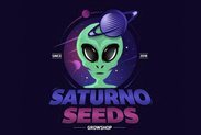 Grow-Shop-Saturno-Seeds
