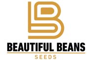 beautiful-beans-seeds