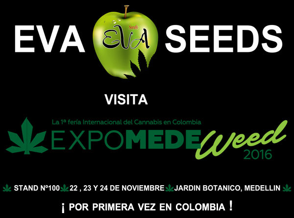 Eva Seeds en Expomedeweed