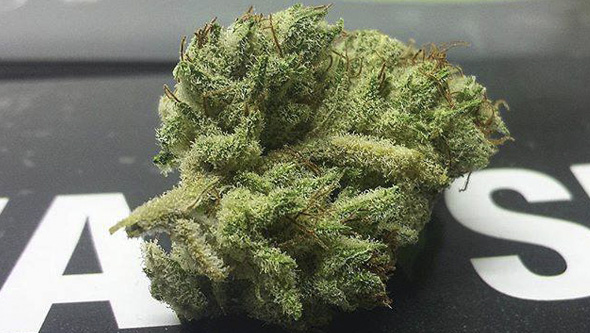 Furious Candy dry bud