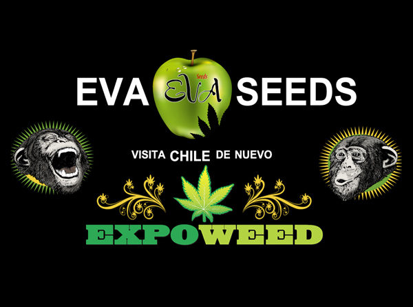 Eva Seeds en Expoweed Chile