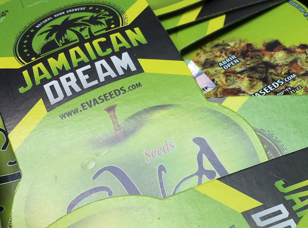 Jamaican Dream