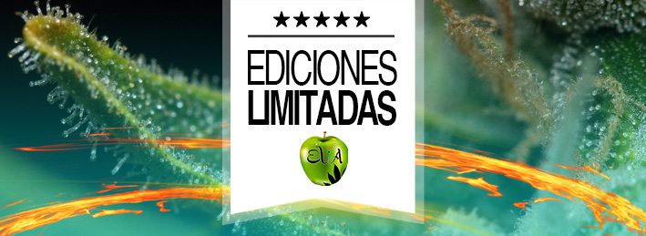 Ediciones Limitadas Eva Seeds