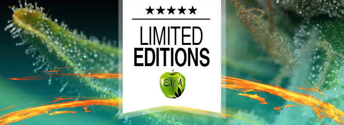 Limited Editions Eva Seeds