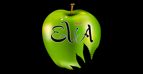 www.evaseeds.com